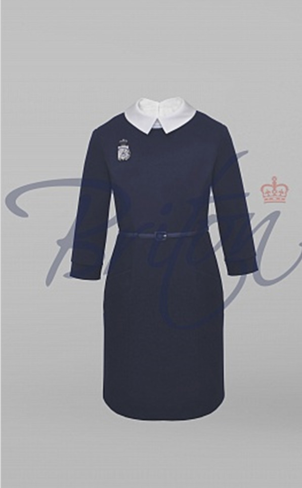 картинка Платье трикотажное со съемным воротником (65059-4J) от магазина Одежда+